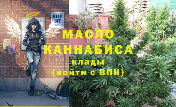 тгк Нея