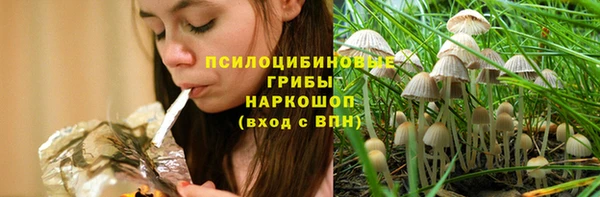 ешки Нефтегорск