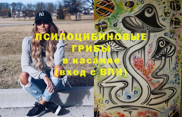 тгк Нея