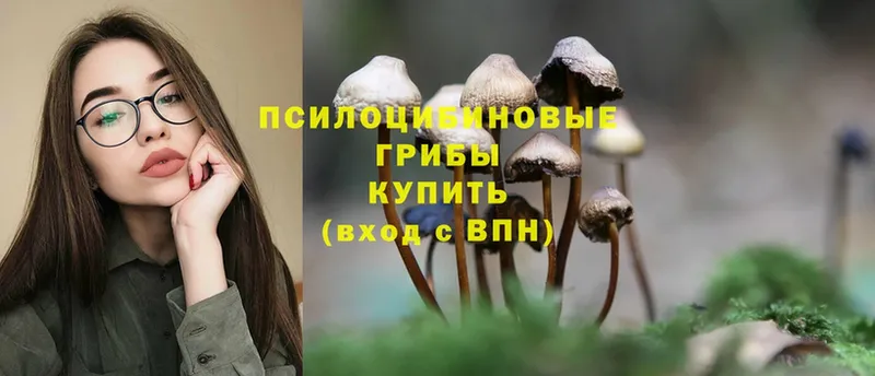 Псилоцибиновые грибы Magic Shrooms  Заволжск 